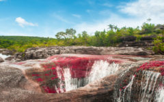 Cano-Cristales3
