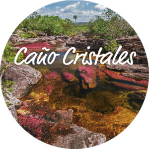 CanoCristales