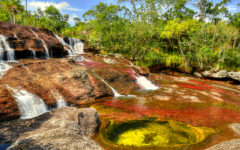 CanoCristales-Destinos2